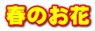 春のお花
